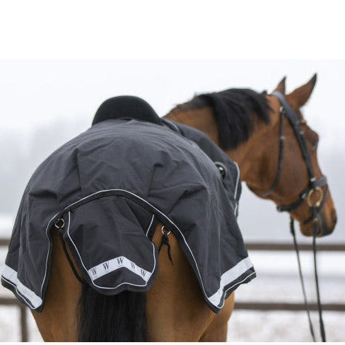 Wahlsten Leo 100 gr treeningtekk