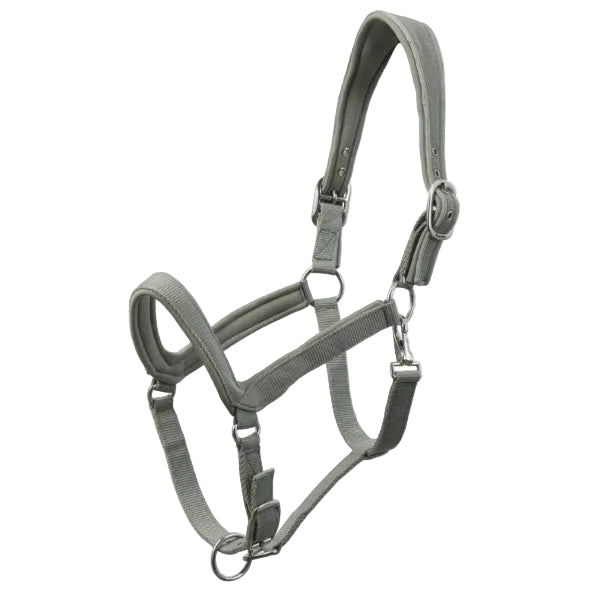 Wahlsten Paddok päitsed